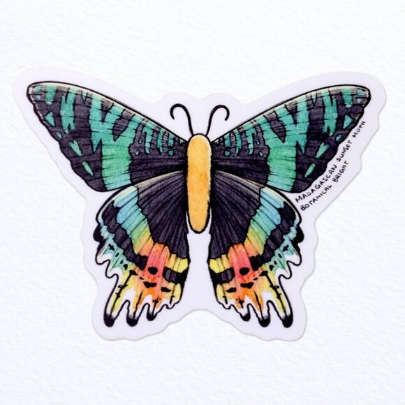 3 for $15 - Madagascan Sunset Moth‎ Sticker - Waterproof Vinyl Nature Decal - Picture 2 of 5